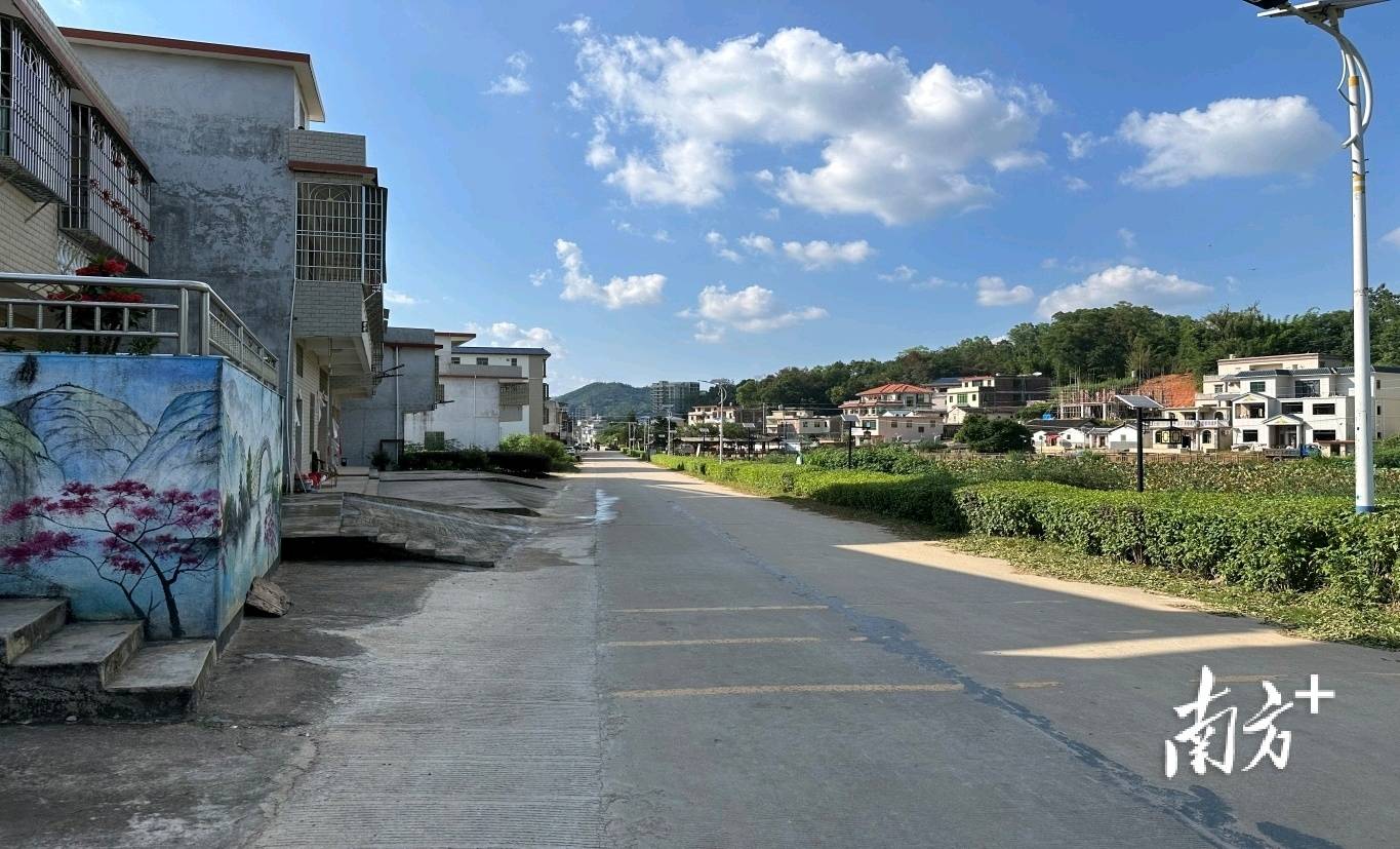 环境整治再发力,大埔县洲瑞镇深入推进x008线公路沿线清理整治工作
