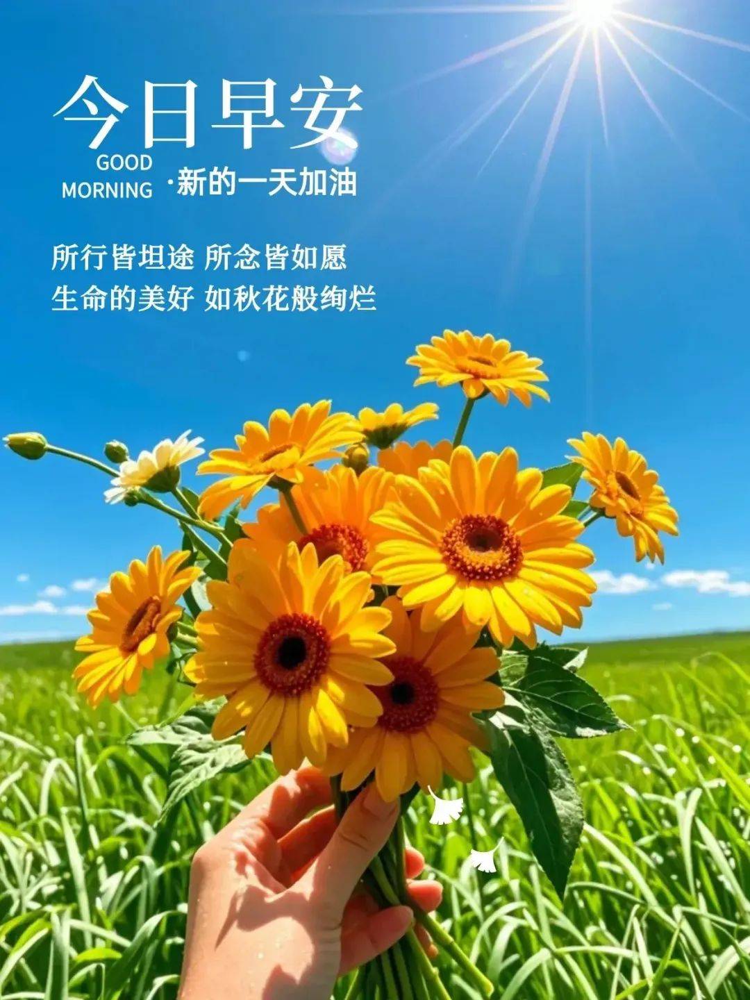 今日祝福一个人的图片图片