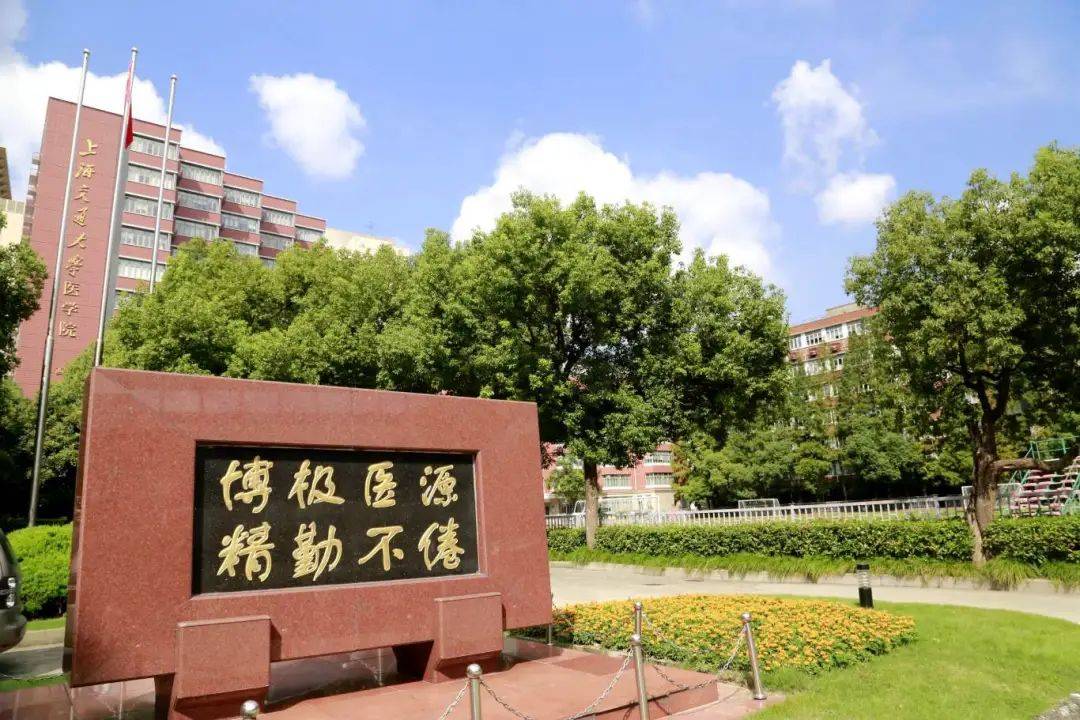 权威发布上海交通大学医学院2025级临床医学专业"4 4"招生简章