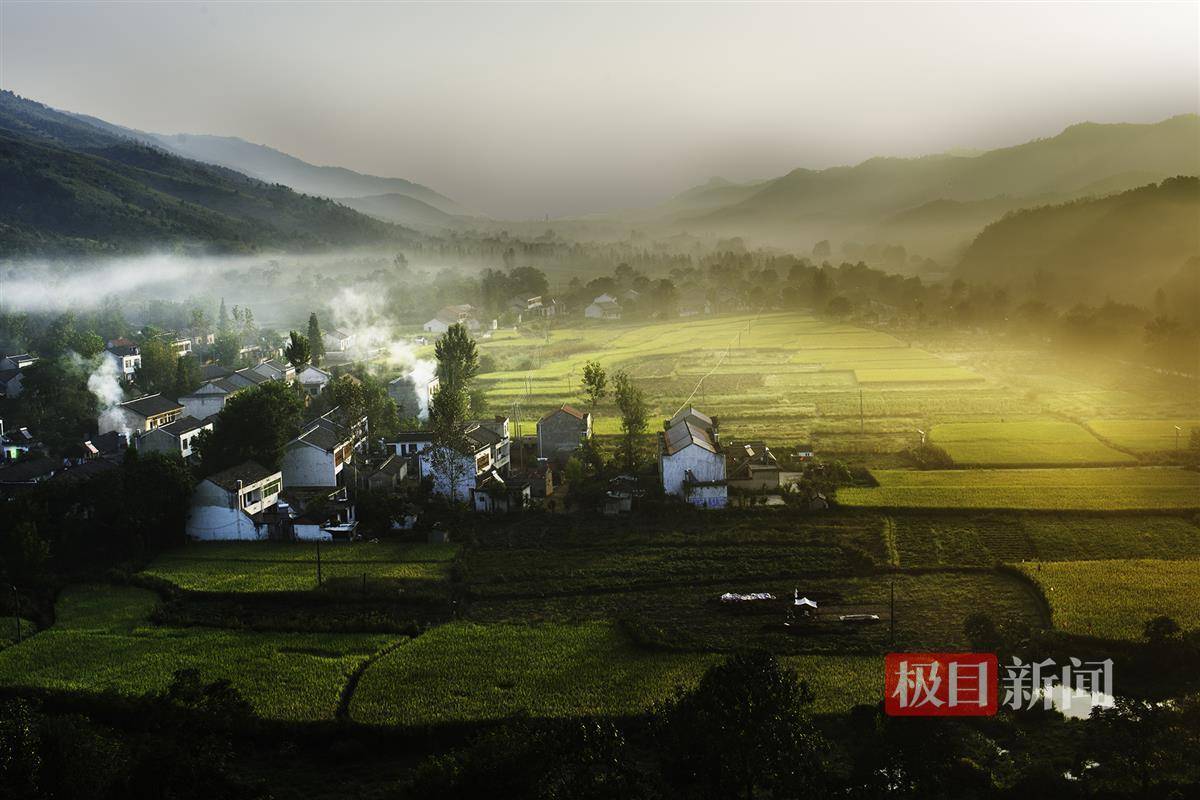 闭园一年后,随州的中国千年银杏谷景区要开园了