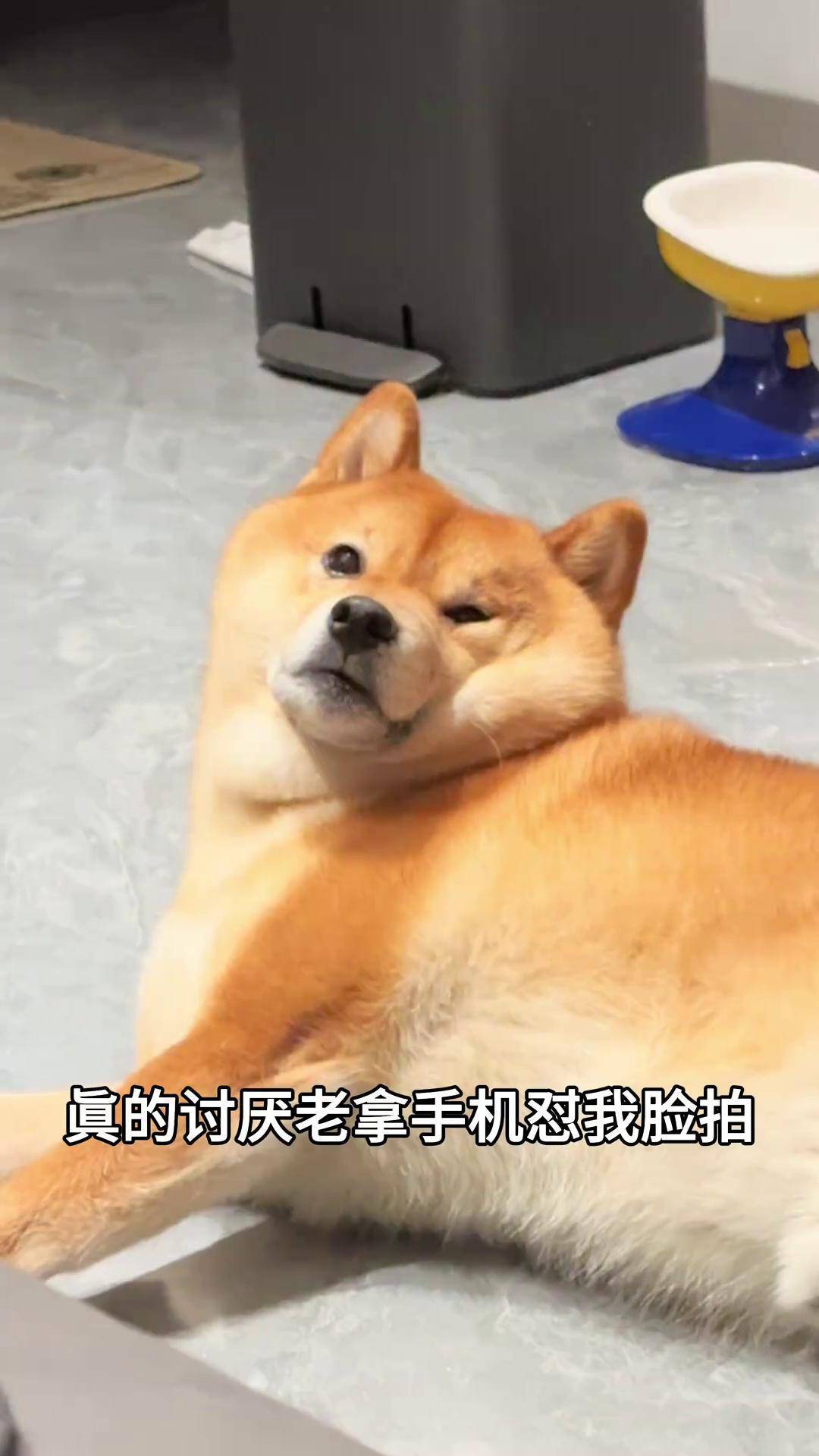 拍我丑照不美颜