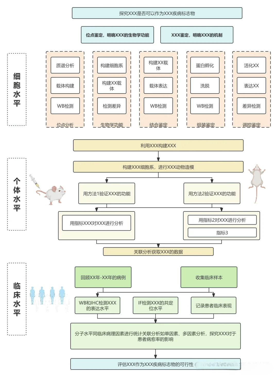 画一个亮眼的技术路线图