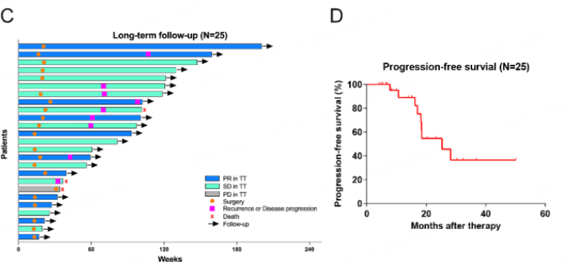 2024 ESMO｜范宇教授：靶向、免疫、ADC共同促进泌尿系统肿瘤精准治疗飞速发展(图2)