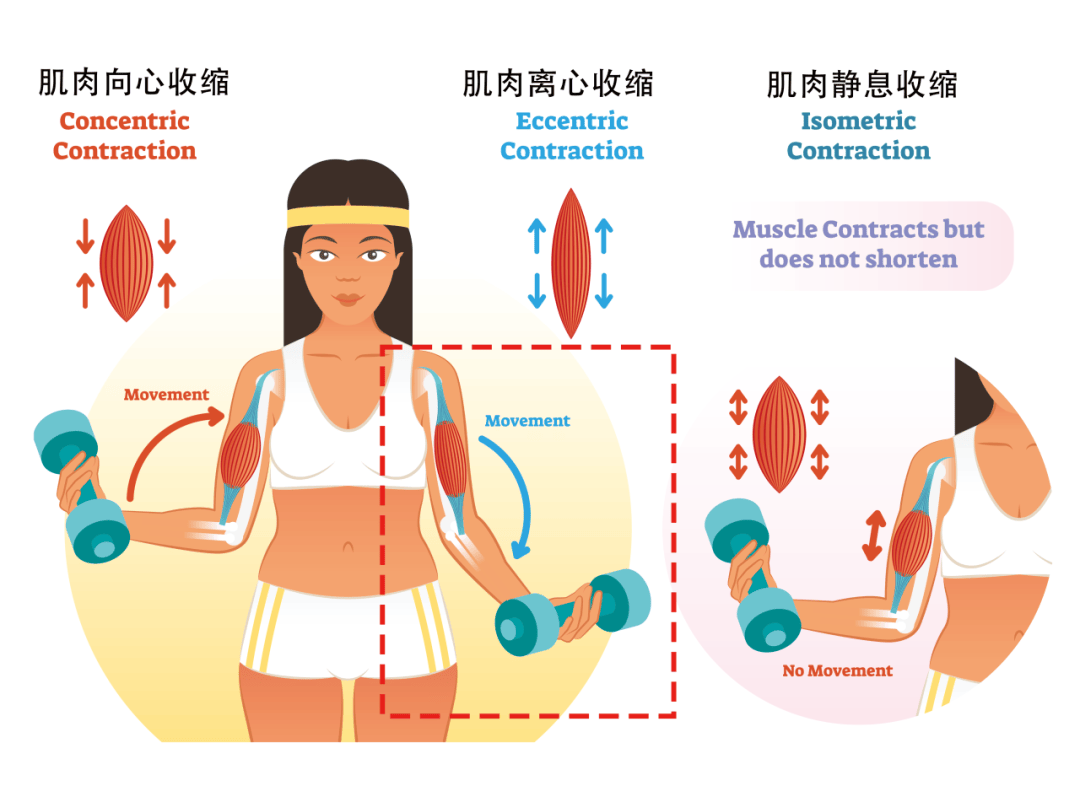 离心运动和向心运动图片