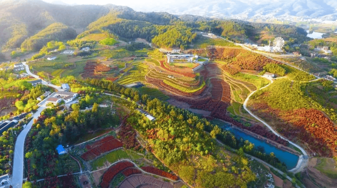 十堰竹溪绿之恋图片