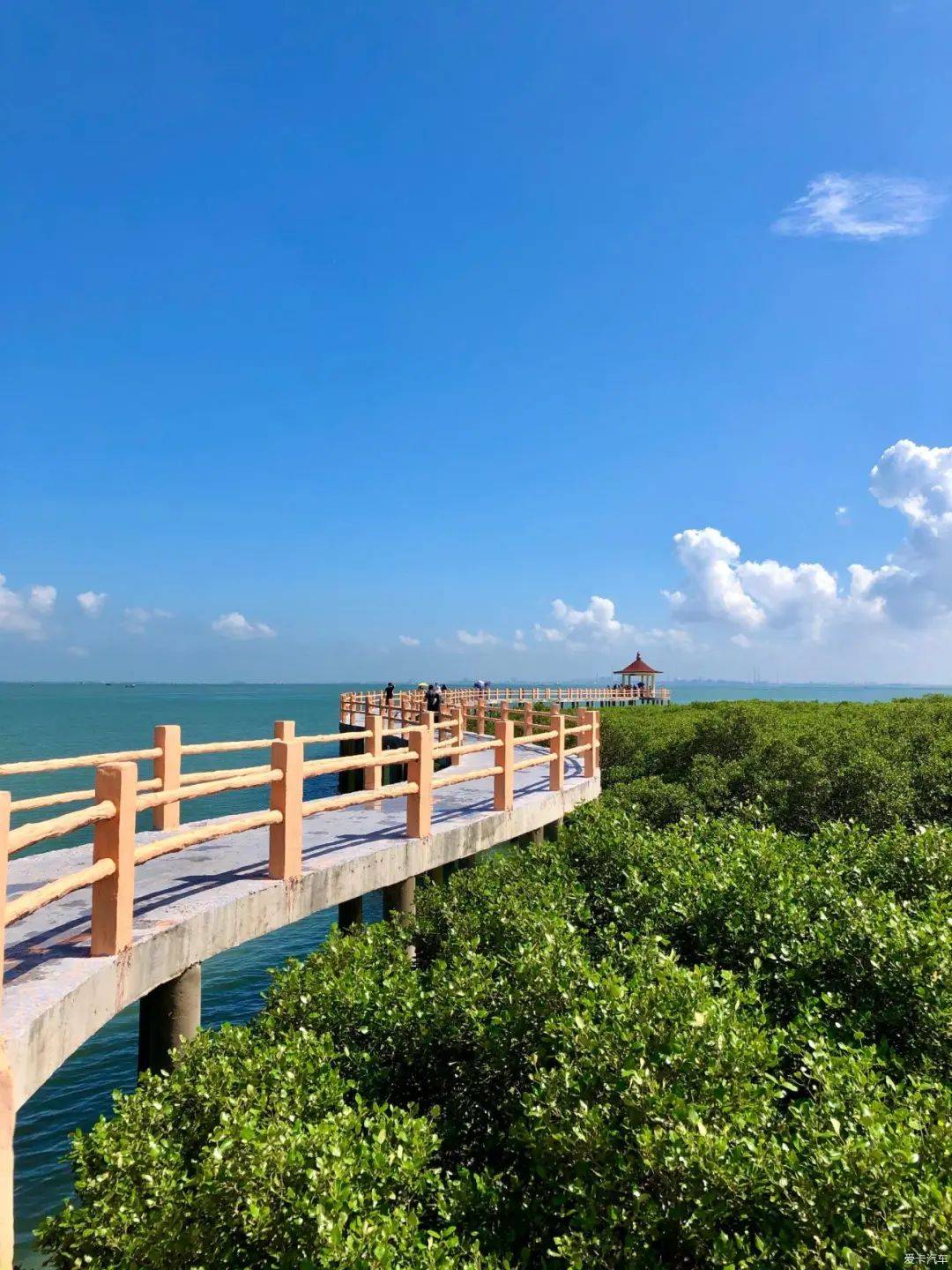 仅需699双奢华·海鲜任叹 围海捕鱼, 畅游"东方夏威夷"【中国第一滩】