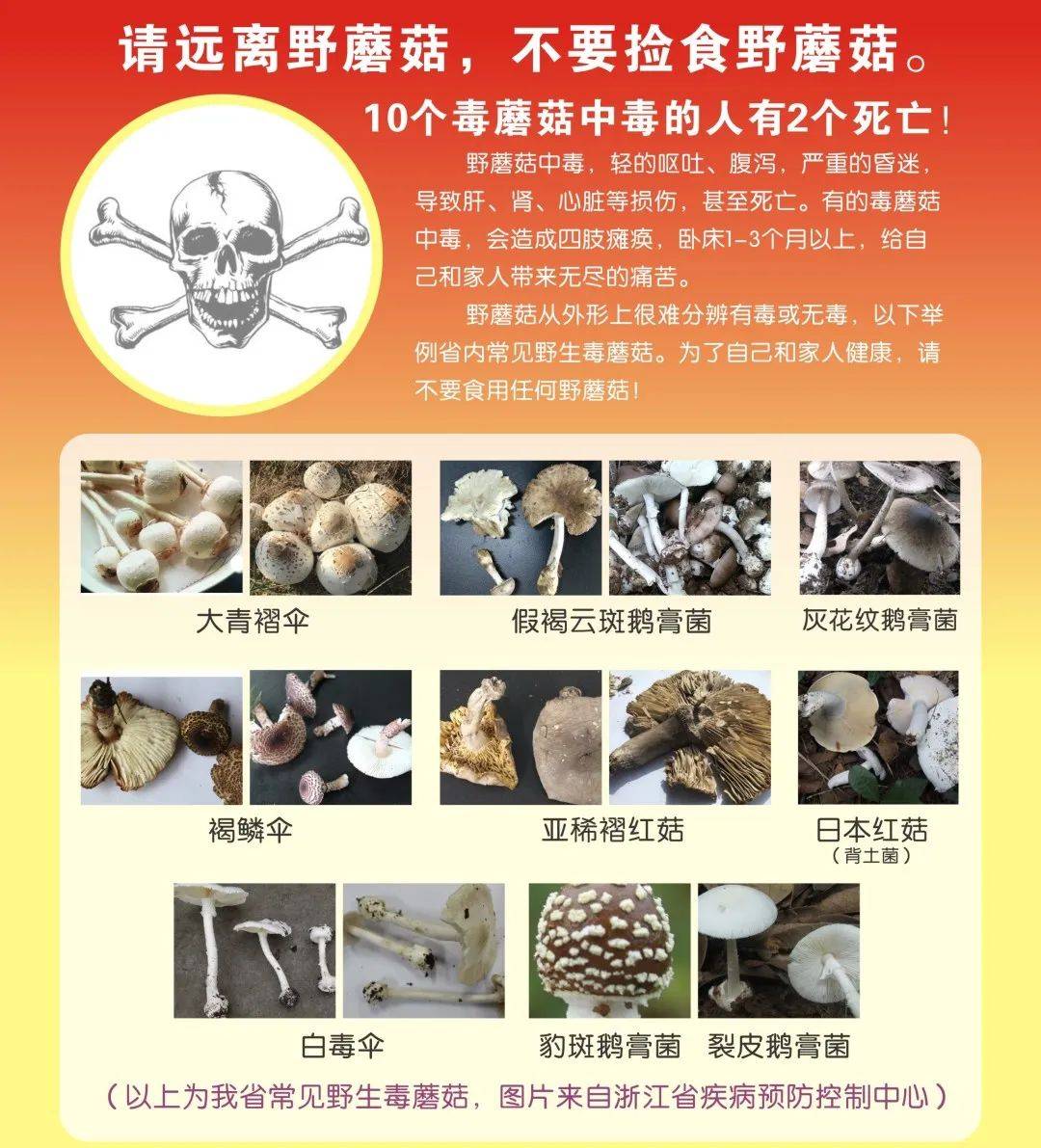 不要吃 密密麻麻