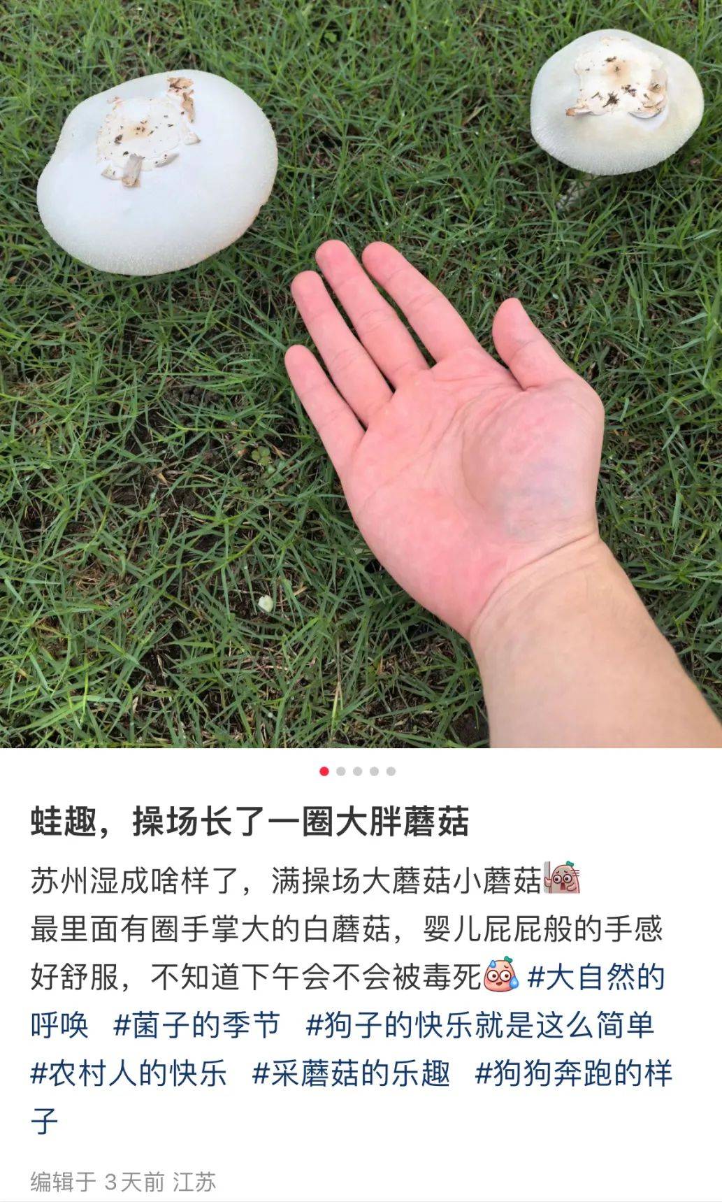 最近“疯狂冒头”!常熟多地已出现,不要采!不要吃!_毒素_医生_治疗