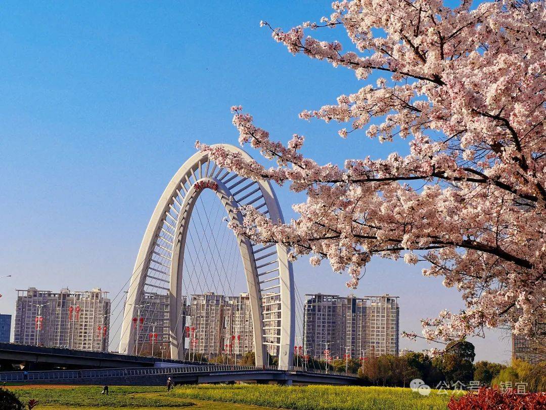 宜兴市老干部局_宜兴主城区文旅发展_宜兴主城区旅游潜力挖掘