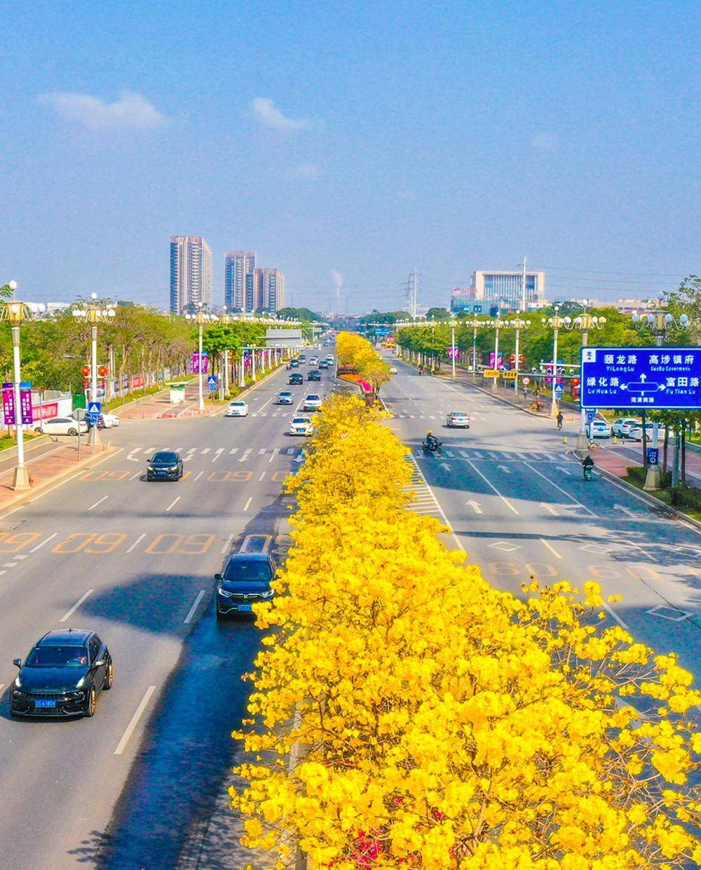 东莞沿海公路图片