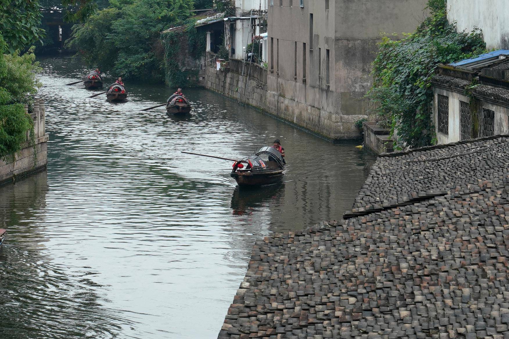 乌篷船五花马图片