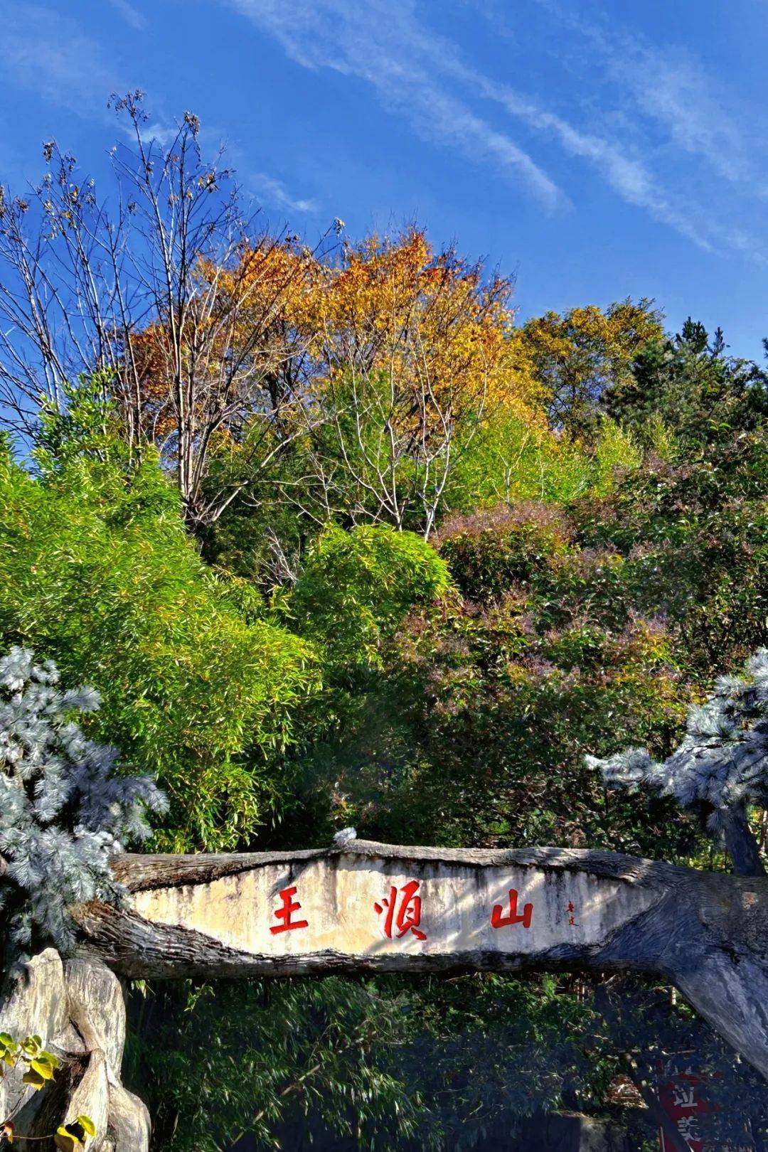 蓝田"生态特色游"等你来打卡!_王顺山_将军村_稻田