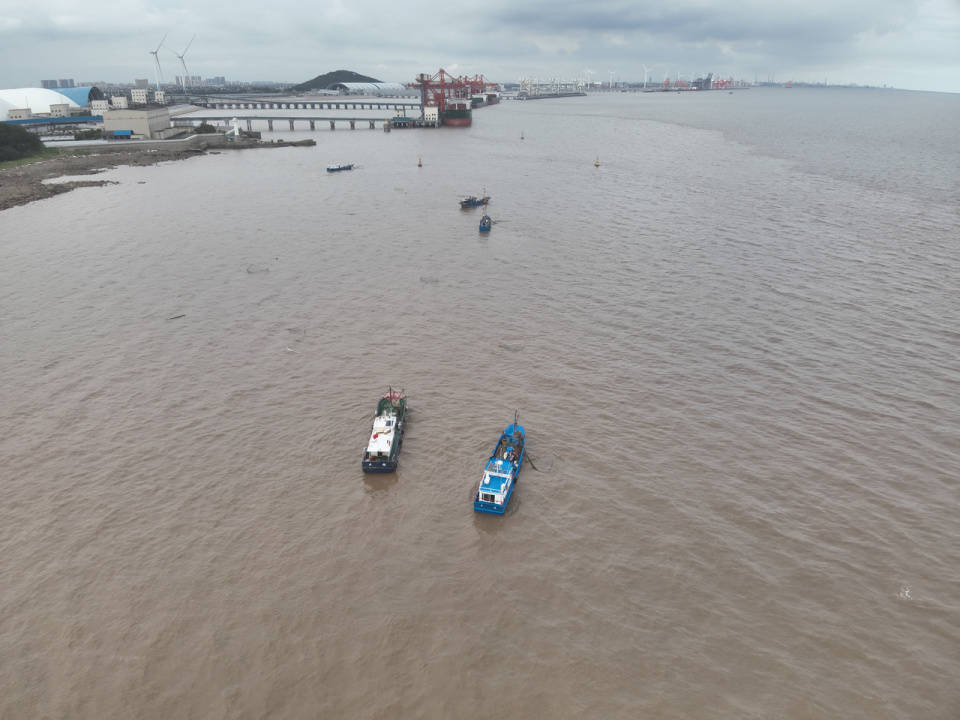 管家婆一肖一码必中一肖,捞不完真的捞不完，浙江一发电厂遭遇“海蜇危机”，网友提出“吃货”建议，专家给出分析