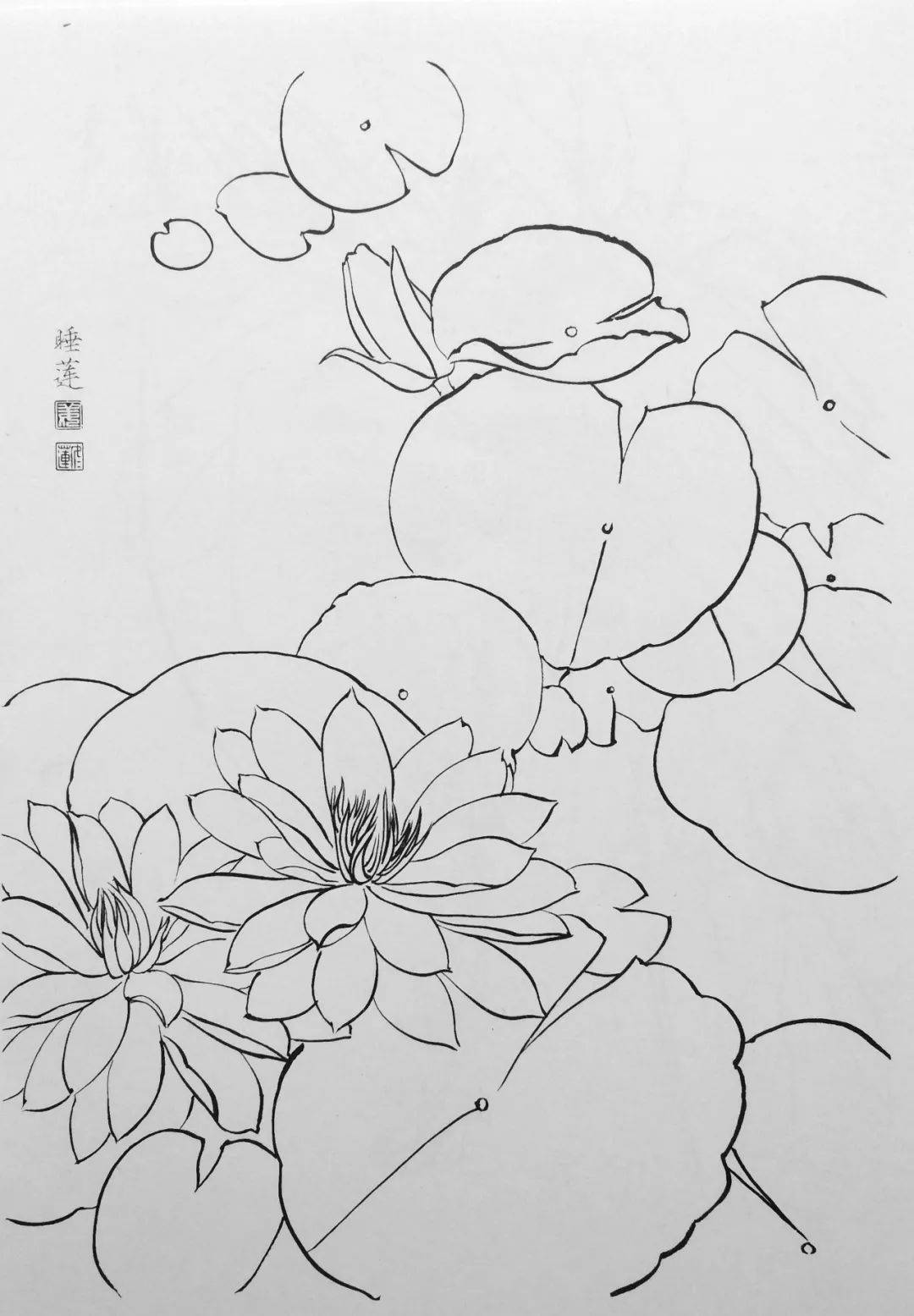 一组花鸟白描线稿