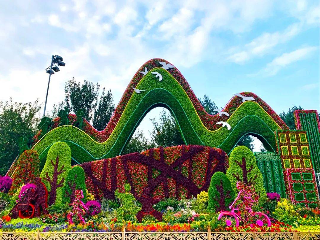 十一国庆花坛植物搭配图片