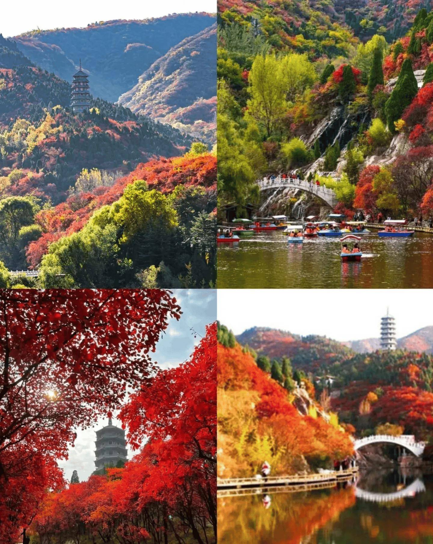 济南红叶谷,红叶盛景美到窒息(附攻略)