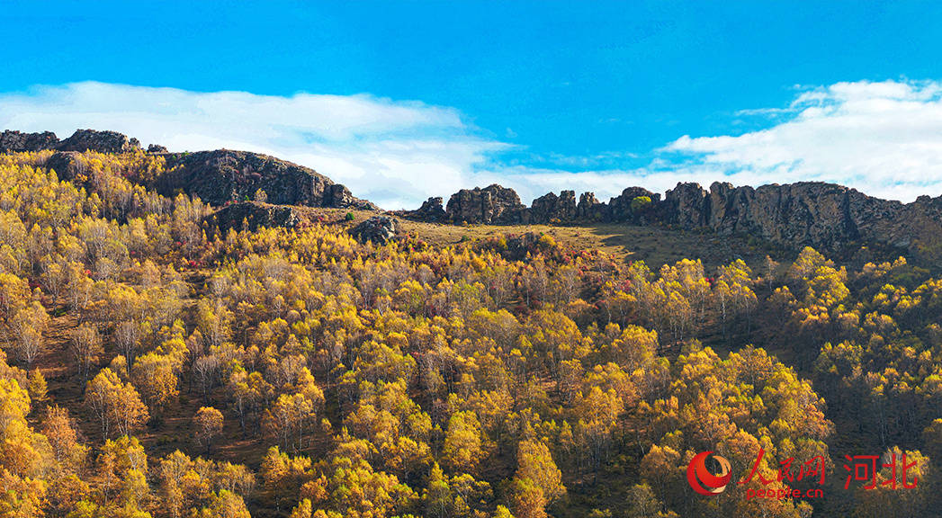 承德木兰围场五道沟秋景美如画
