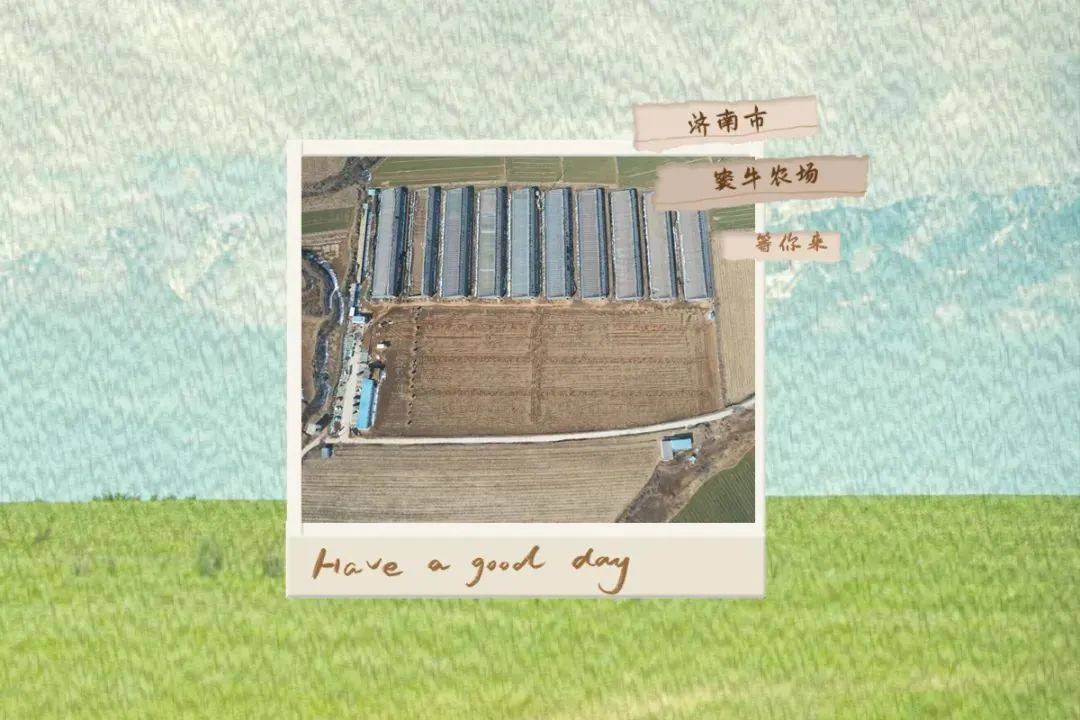 文章配图-19