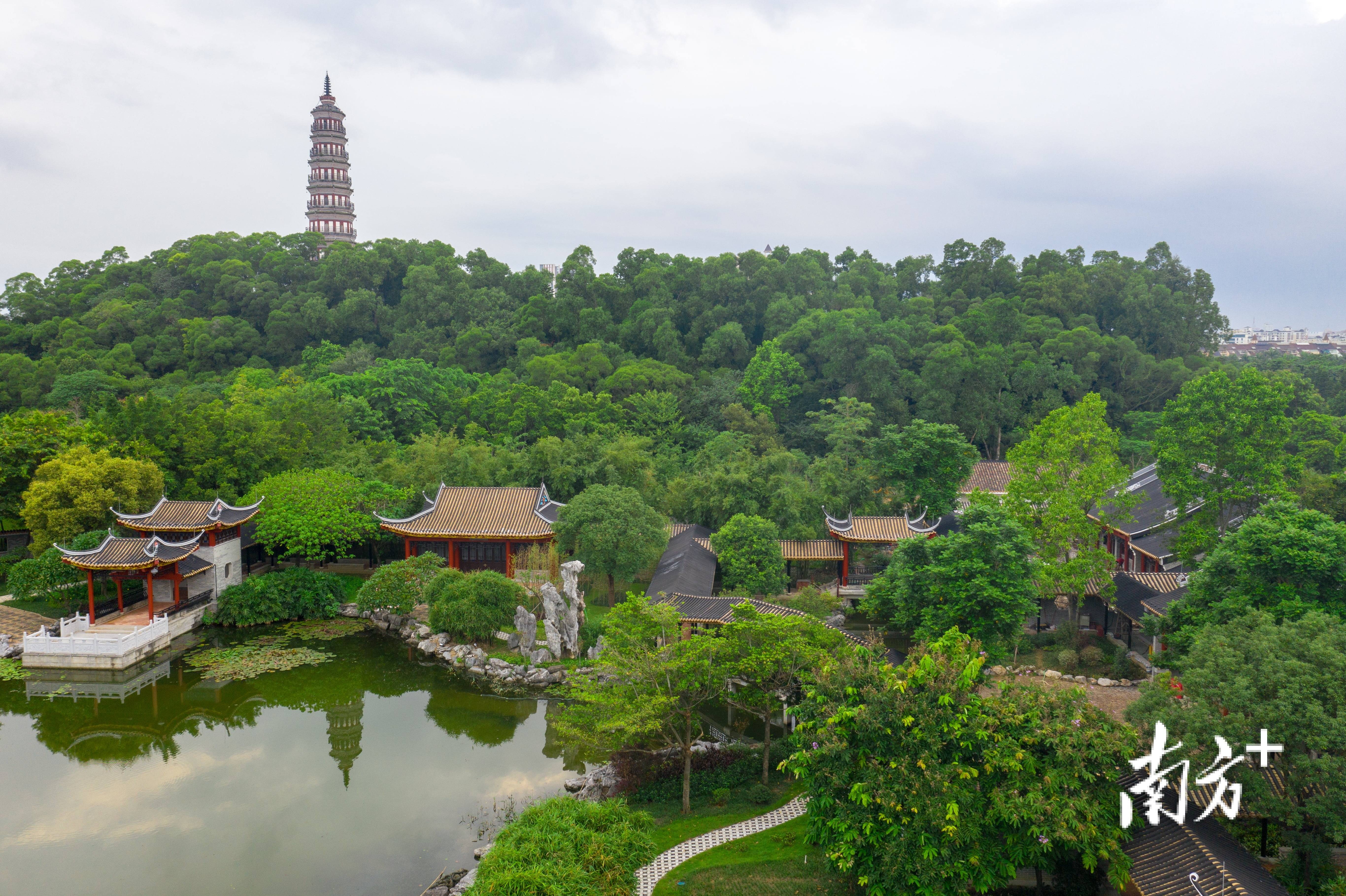 顺峰山公园的美景图片图片