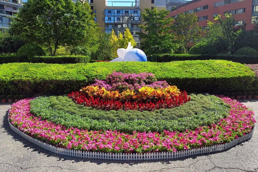 海淀街头氛围感拉满