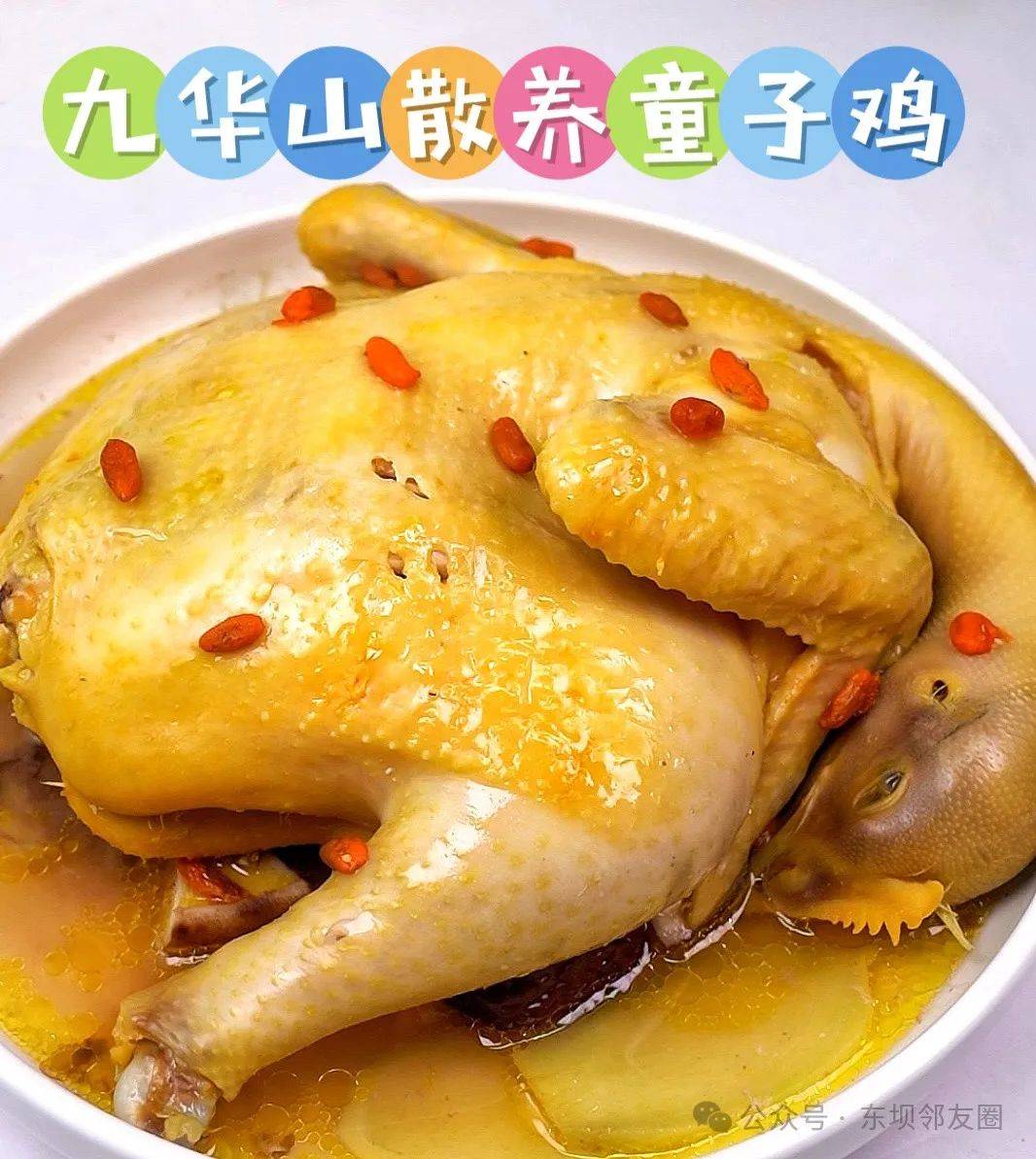 池州青阳鸡的位置图片