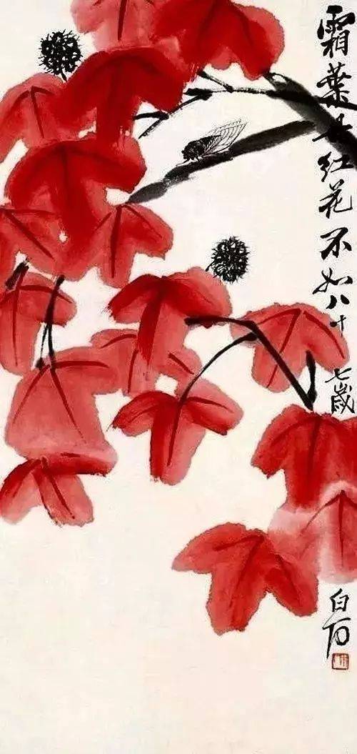 齐白石枫叶寒蝉图欣赏