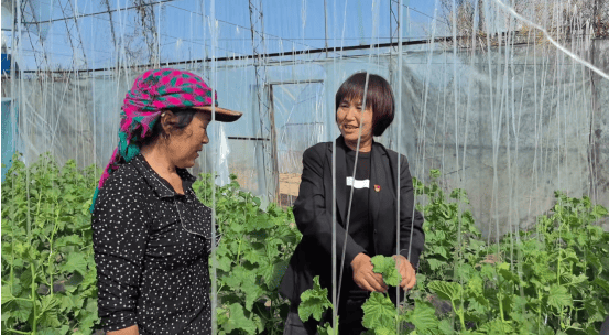 (刘桂芬代表指导村民发展设施农业)据不完全统计,开鲁县各级人大代表