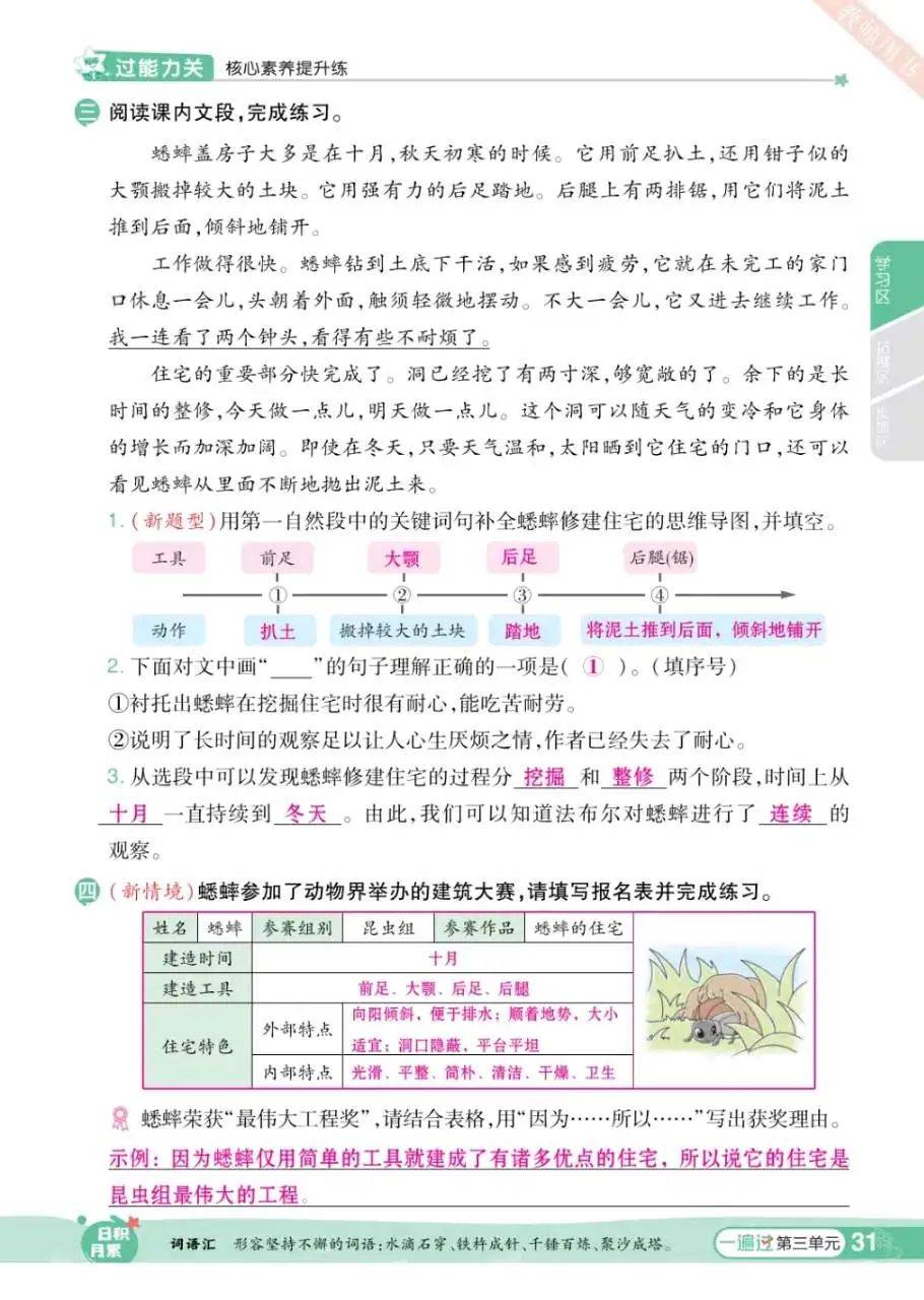 蟋蟀的住宅提问题图片