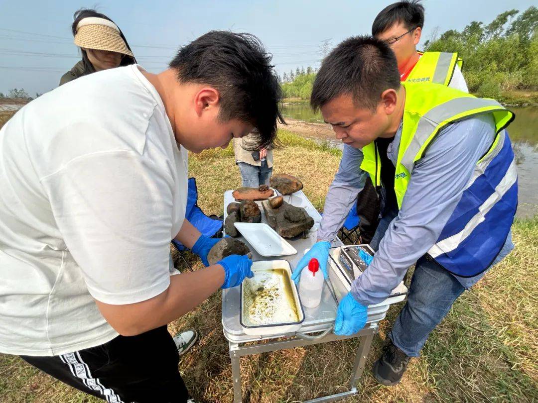 随州积极配合全省水生生物补充调查工作