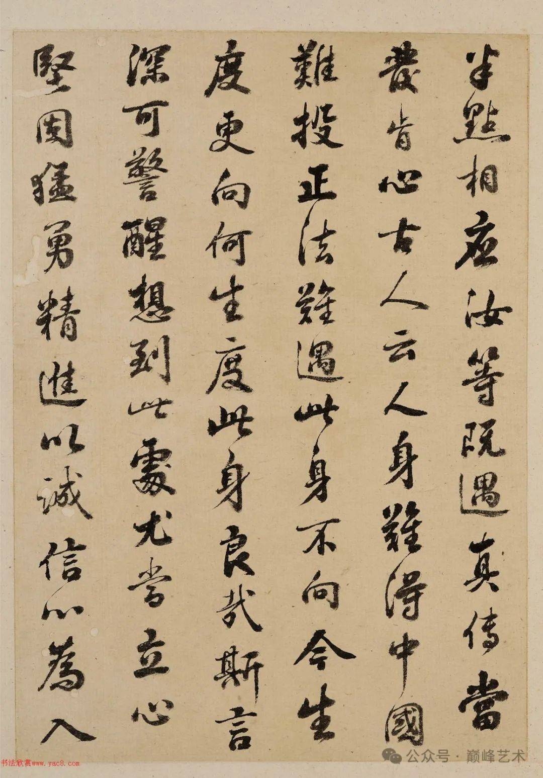 赏张照行书诗文册