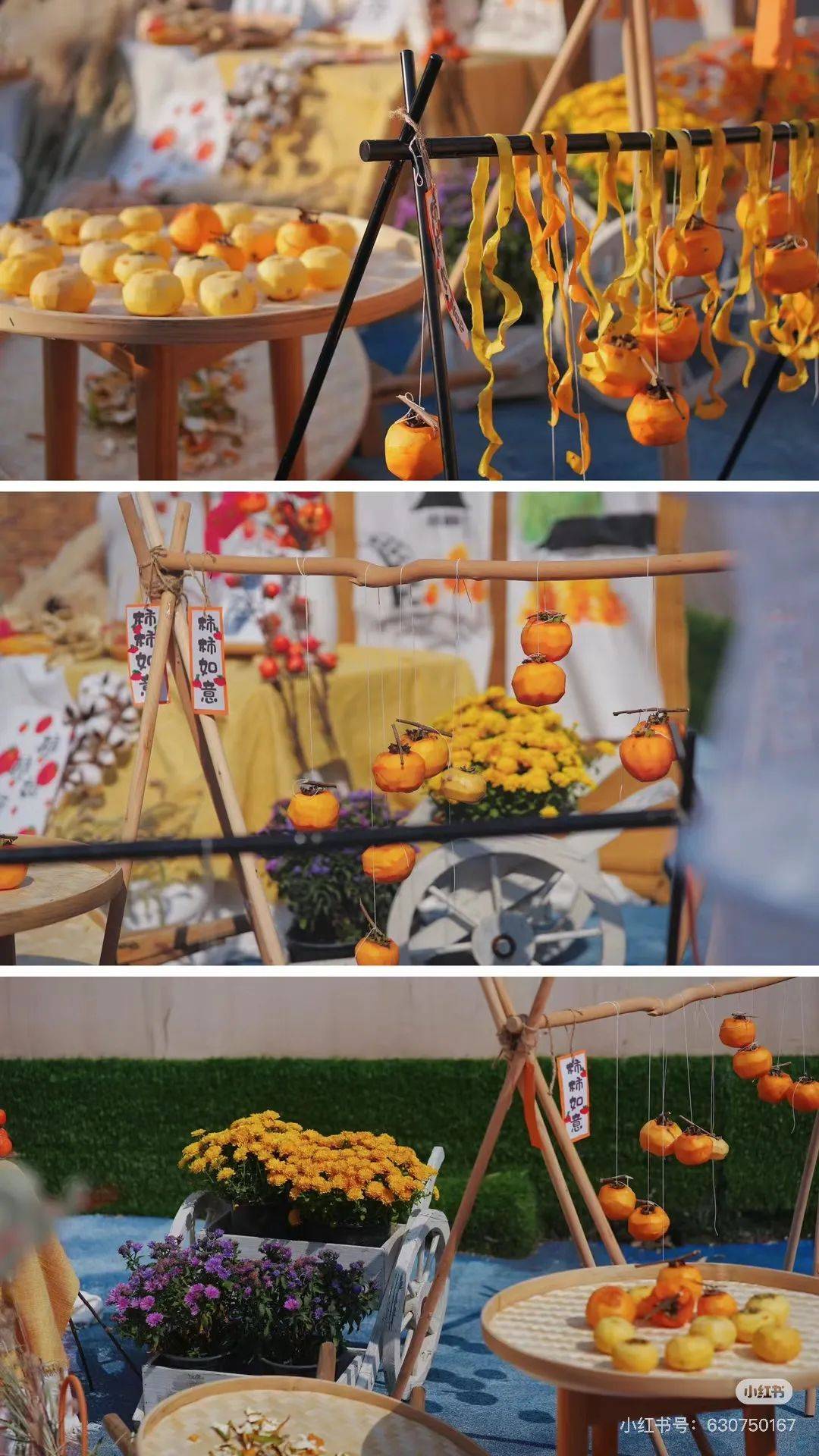 霜降节气环创主题分享