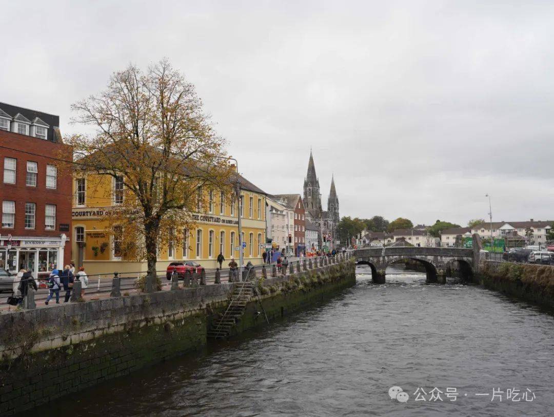 连女王都喜欢逛的小菜场！_搜狐网