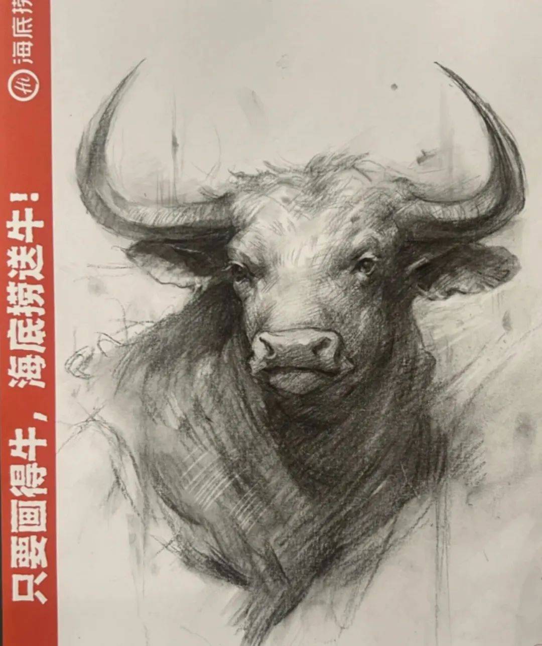 画牛送一头牛!
