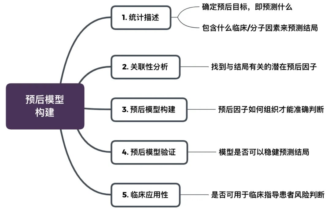哇塞,学会这个方法,一篇 SCI 手到擒来_预后_研究_模型
