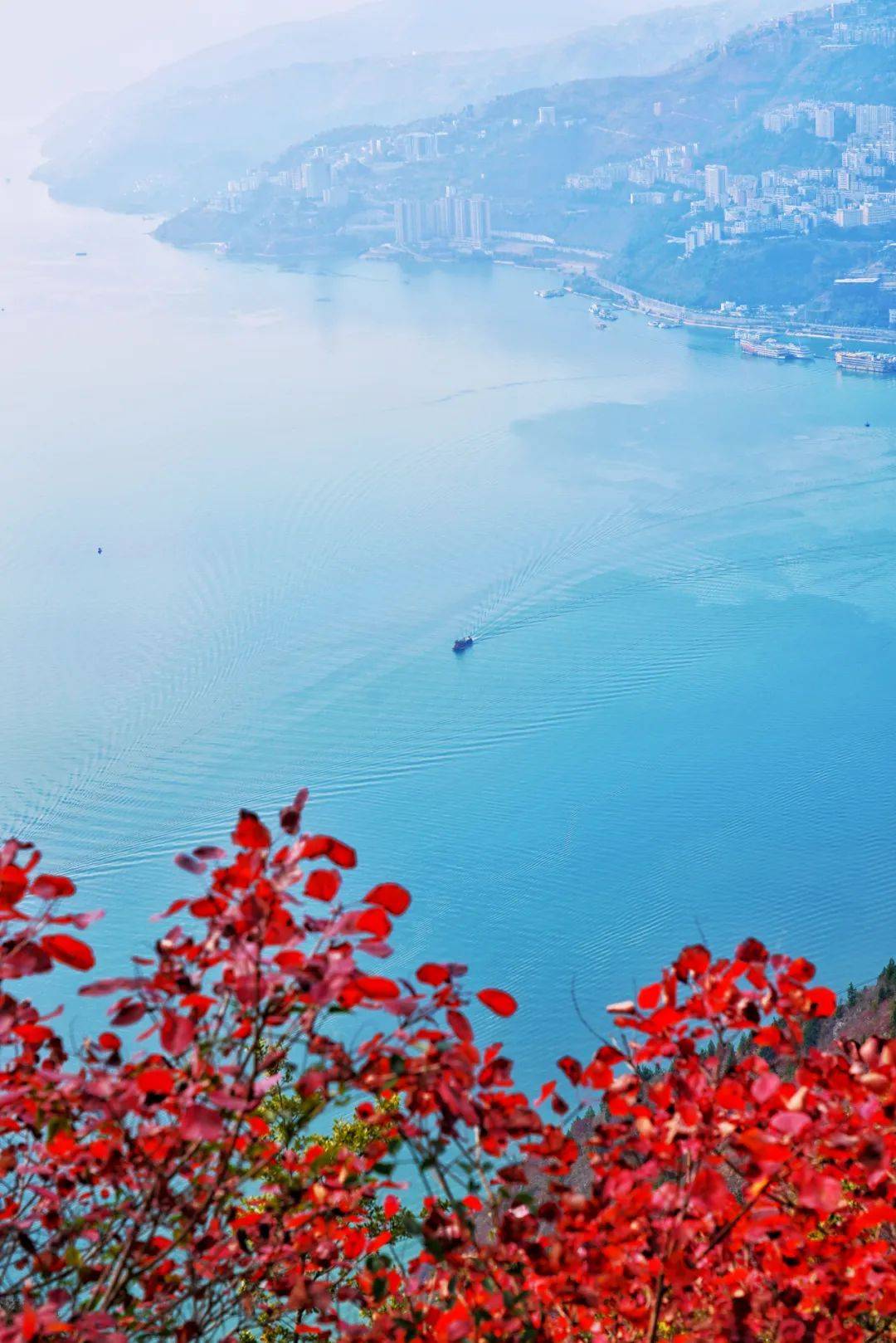 【三人行户外】周末2日|三峡红叶之约の登山峡之巅,赏红叶盛宴~_巫山