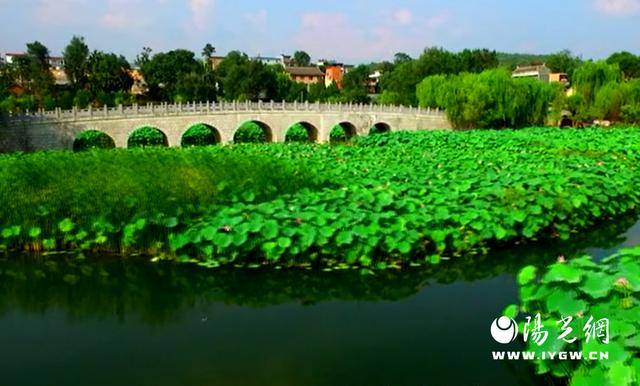 丹凤棣花旅游度假区荣膺省级旅游度假区称号