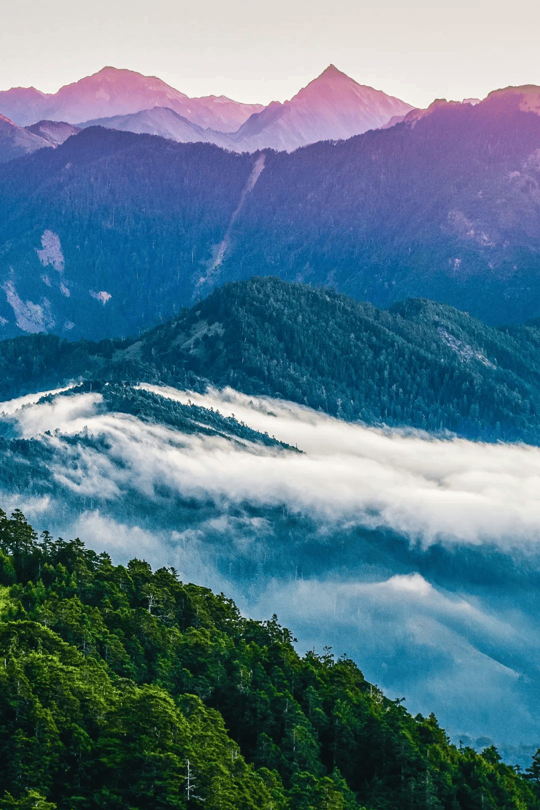 台湾最高的山图片