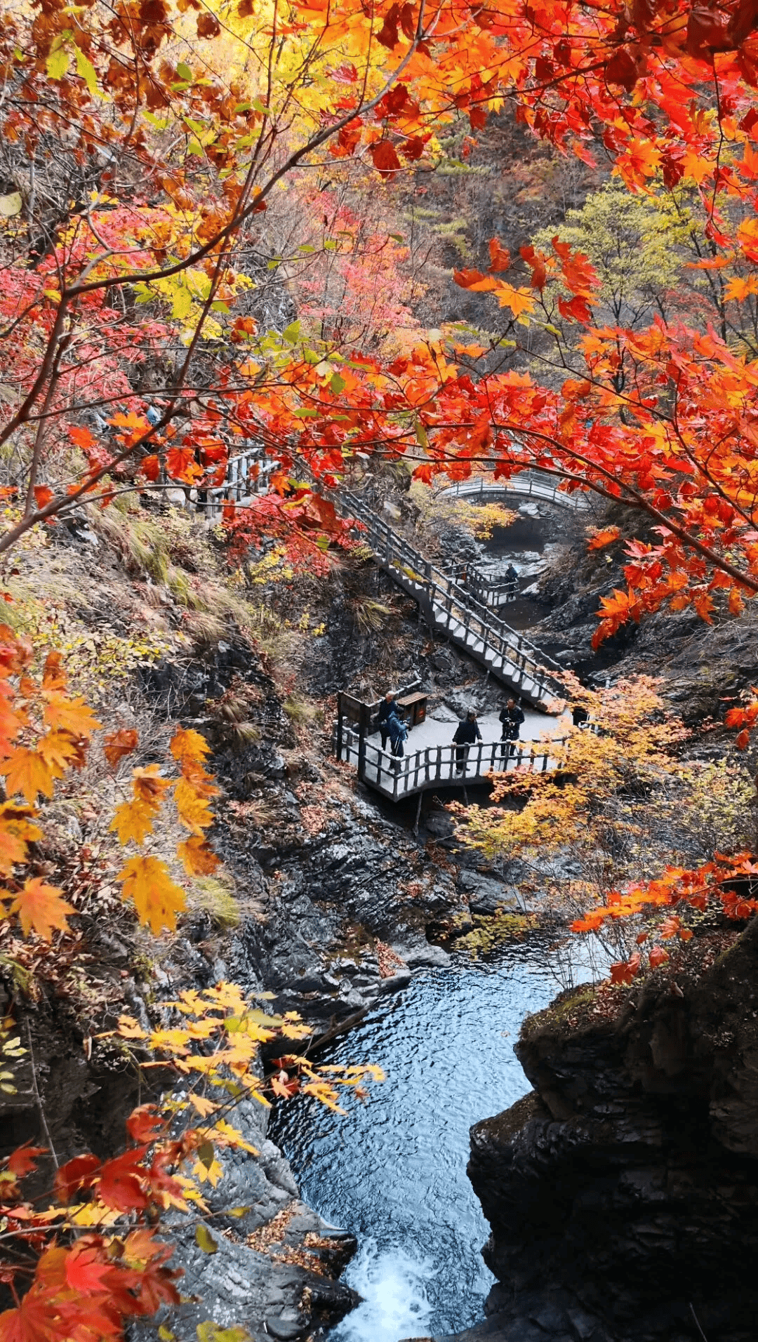 辽宁赏枫颜值担当!最美好"枫"景,不只本溪