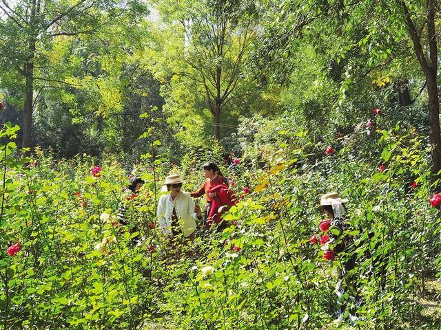 这样拍照 美景“很受伤”