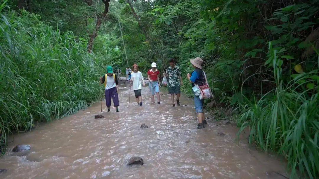 景洪市基诺山乡:守住安全底线 让风景远离风险