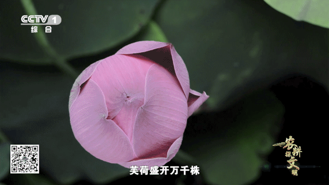 640_360gif 动态图 动图