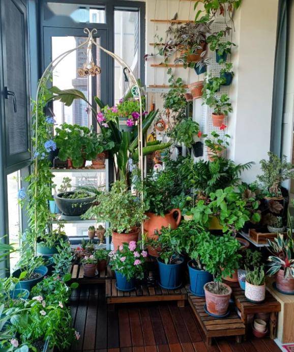 家里面积小的话,又想要养花,都可以尝试一下在墙上种花,颜值特别高.