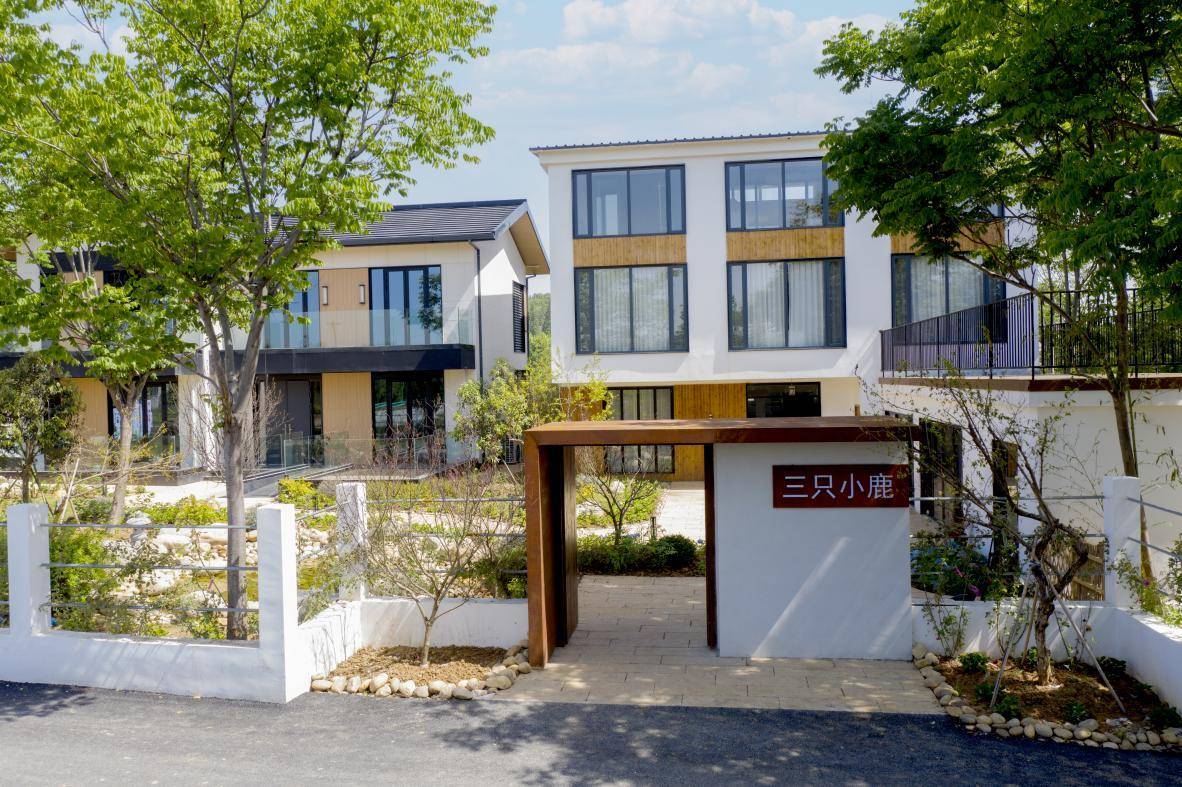 蚌埠市禹会区：党建引领，打造环涂民宿群