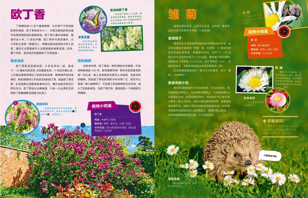 动植物种类名称大全图片