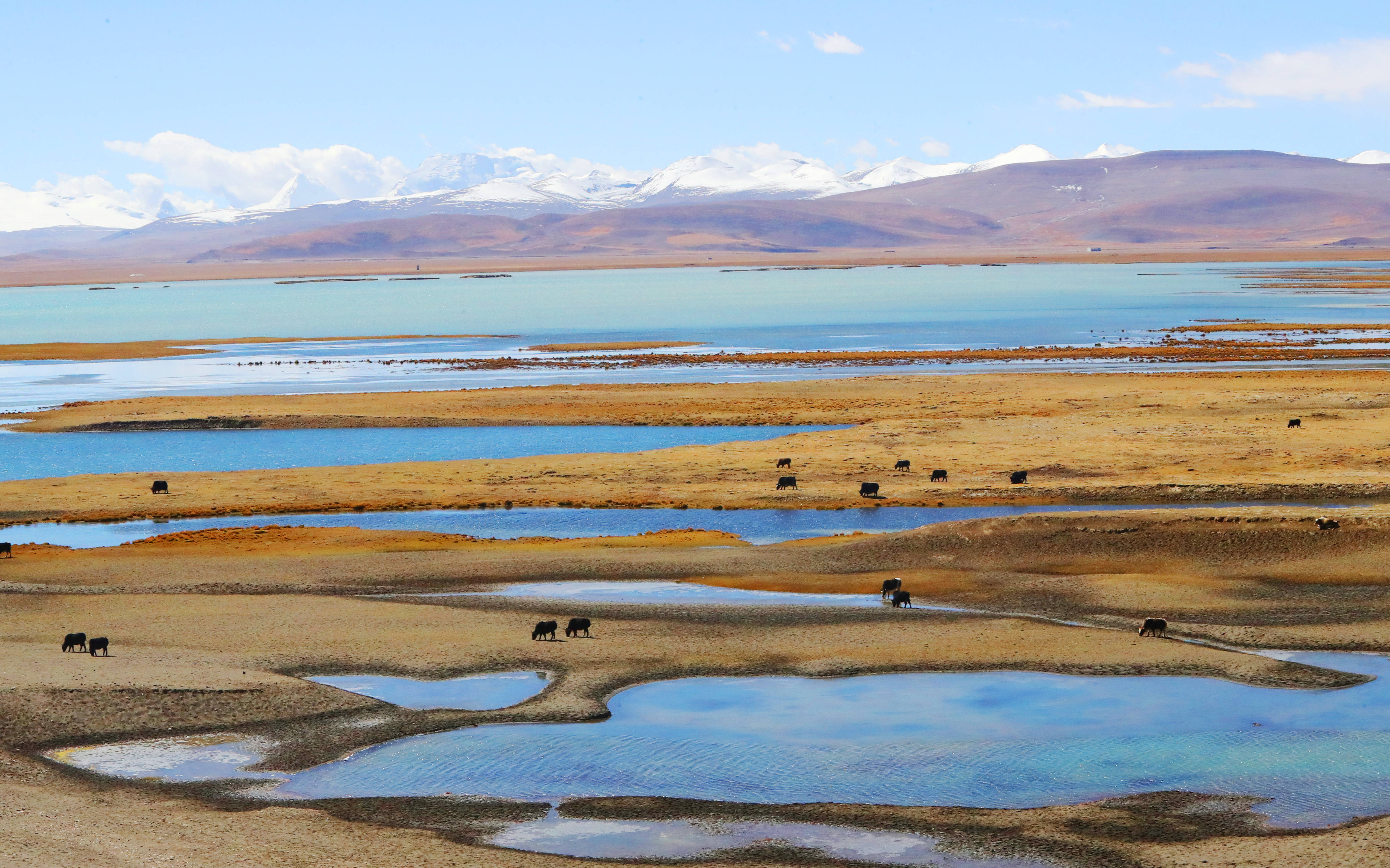 西藏山南:秋日普莫雍错美景如画