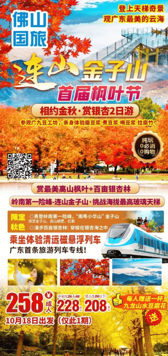 连山金子山·首届枫叶节来啦|¥258赏最美高山枫叶 百亩银杏林,岭南