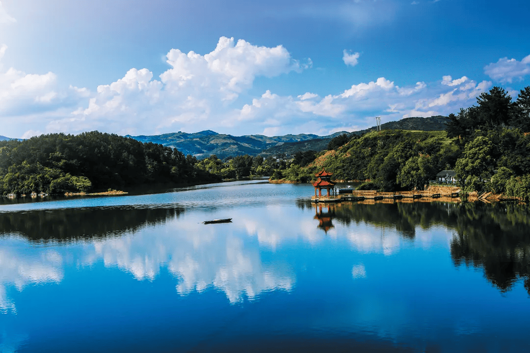 强势刷屏!中央,省市主流媒体纷纷聚焦我县