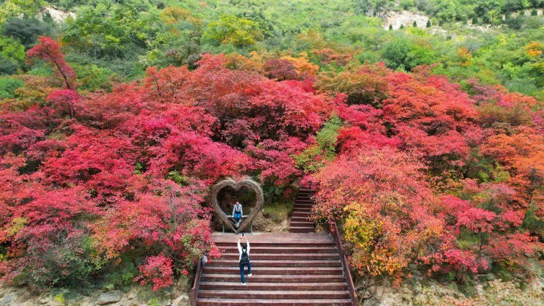 青蜂侠景区有哪些景点图片