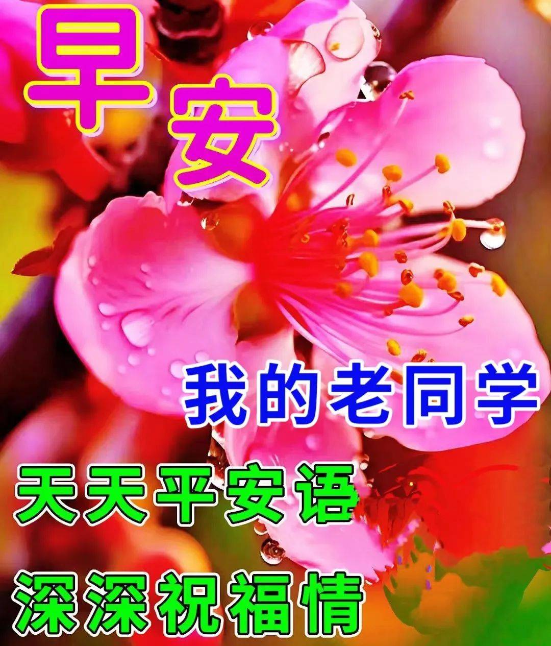 早上好回忆童年的图片图片