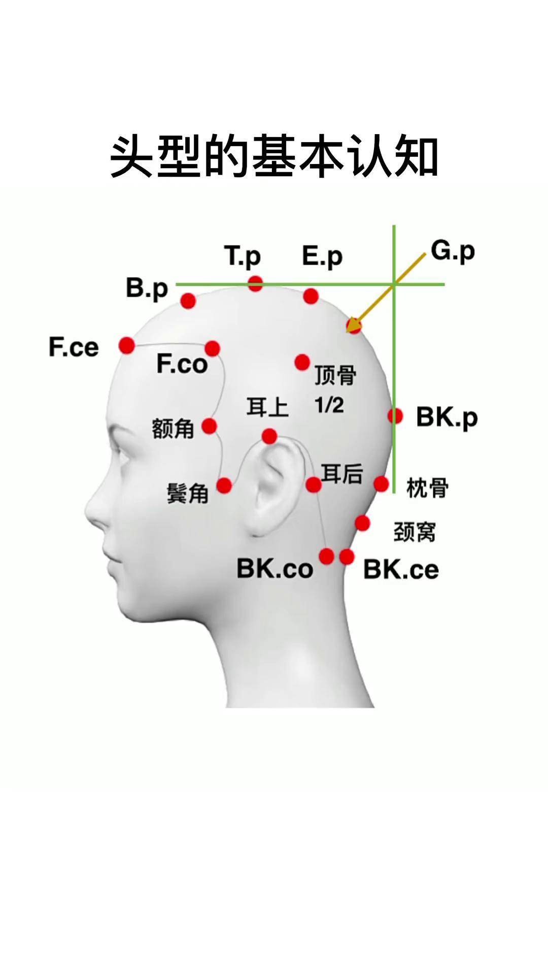 发型师必备分区分线知识美发教学 美发 美发学校 发型教程 美发培训